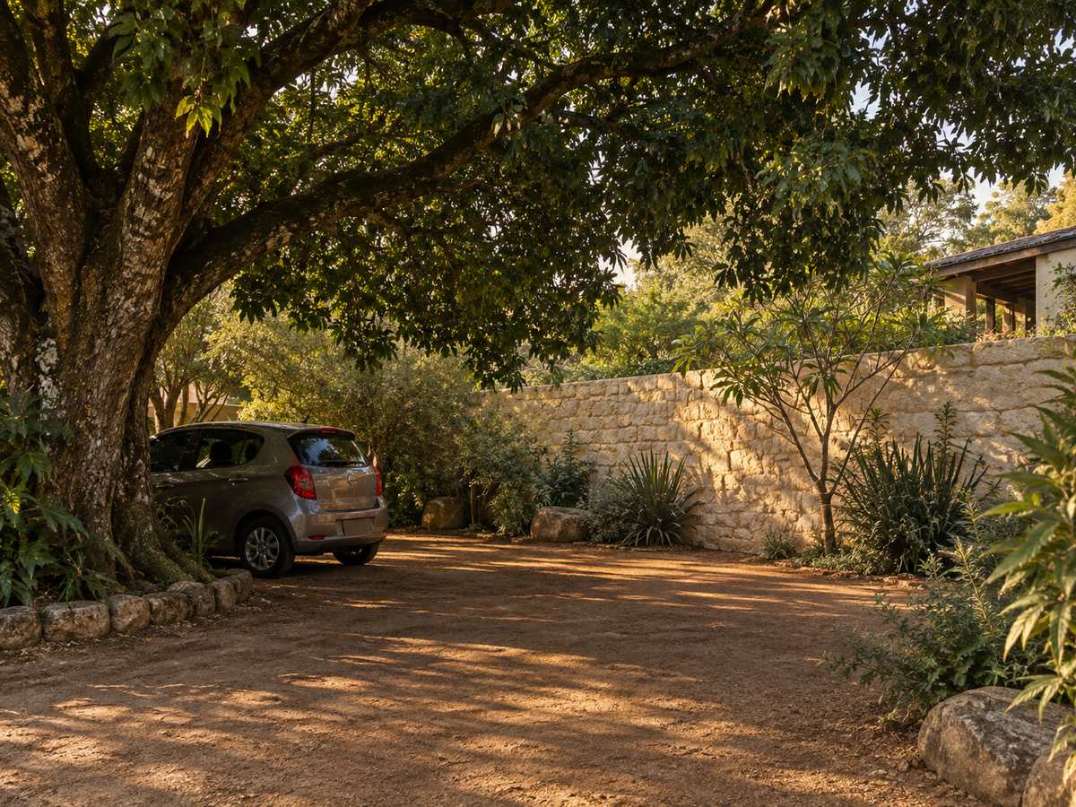 Shaded parking under a kumbuk tree beside a pale garden wall